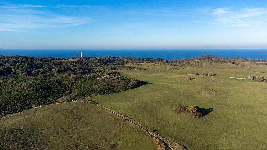 Hiddensee Dornbusch