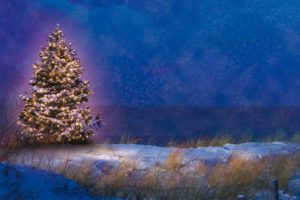 Weihnachtsbaum an der Ostsee