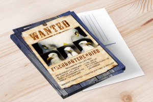 Postkarte „Wanted – Fischbrötchendieb“